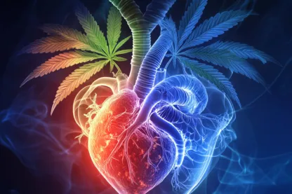 Maconha causa problemas cardíacos? Entenda